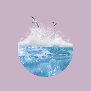 特级毛片爽www免费版
