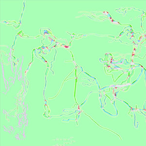 特级毛片爽www免费版
